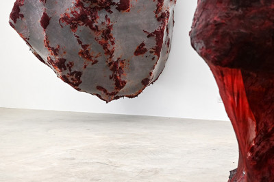 Anish Kapoor - 